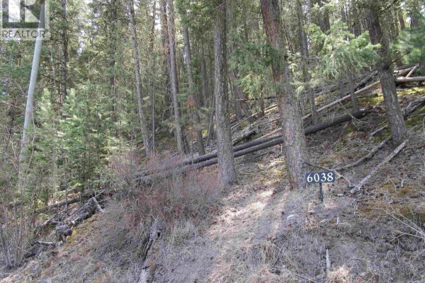 6038 Easzee Drive, 108 Mile Ranch, BC V0K2Z0 Photo 2