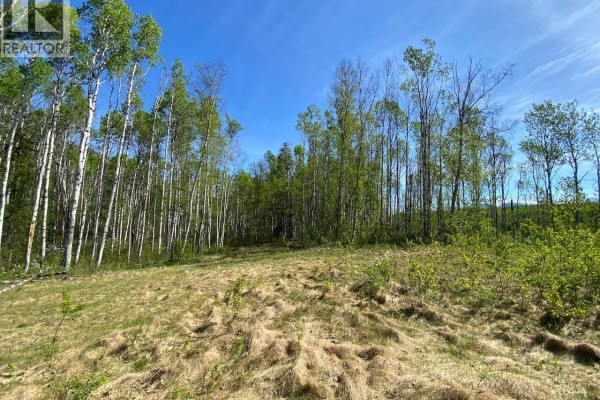 6048 Six Mile Road, Hazelton, BC V0J1Y1 Photo 3