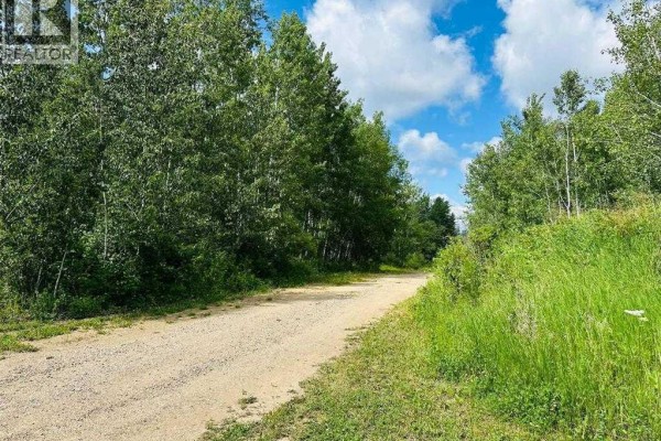 A gravel driveway curves through a grassy area with tall trees and a bright blue sky above. - 605 Louiselle Trail, Lac Des Iles