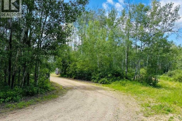 View down a curving gravel driveway with a metal gate, flanked by lush green trees and grass. - 605 Louiselle Trail, Lac Des Iles
