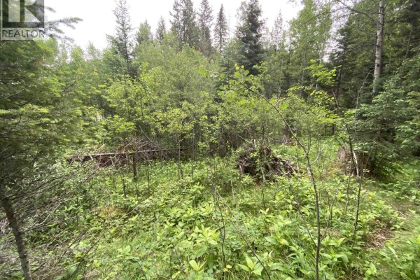 6050 Easzee Drive, 108 Mile Ranch, BC V0K2Z0 Photo 4