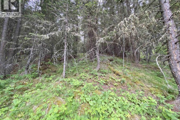 6050 Easzee Drive, 108 Mile Ranch, BC V0K2Z0 Photo 5