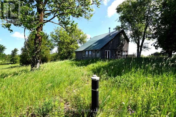 Small rustic wooden building with a green metal roof surrounded by tall grass. - 605303 13a Side Road, Grey Highlands