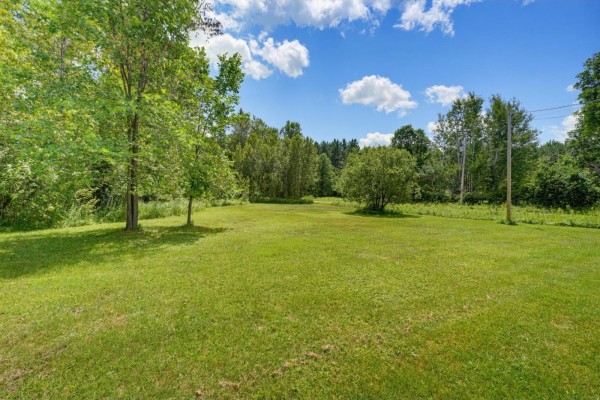 A wide, green grassy field with scattered trees under a bright blue sky with white, fluffy clouds. - 608 Ch. Cottage, L Isle Aux Allumettes