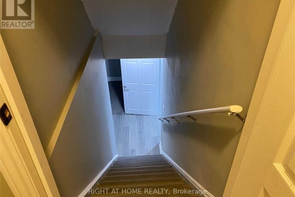 Looking down wooden stairs with a white handrail into a hallway. - 608 Wettlaufer (bsmnt) Terrace, Milton