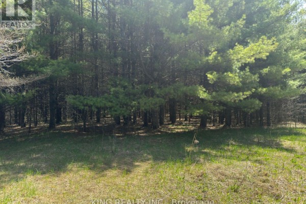 6081 Hwy 89, Clifford Road, Minto, ON N0G1M0 Photo 4