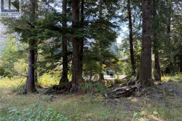 609 Keno Cres, Zeballos, BC V0P2A0 Photo 5