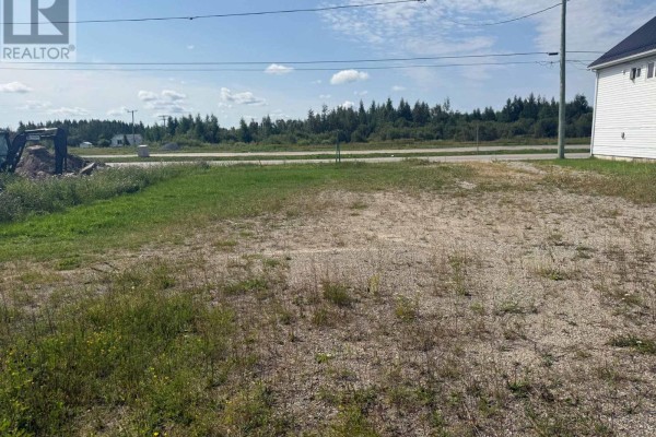 Side view of the Moonbeam Car Wash building with overgrown vegetation in the foreground. - 61 Highway 11 E, Kapuskasing