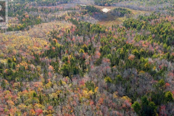 61 Morton Drive, Liverpool, NS, photo 3