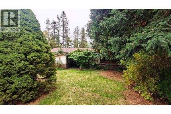 Backyard view with a lawn, large evergreen trees, and a small shed. - 610 7th Avenue, Montrose