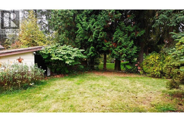View of the backyard lawn, shed, and mature trees on a cloudy day. - 610 7th Avenue, Montrose