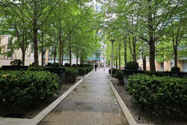 Tree-lined walkway with manicured bushes and large planters in an urban courtyard. - 6105 - 11 Yorkville Avenue, Toronto