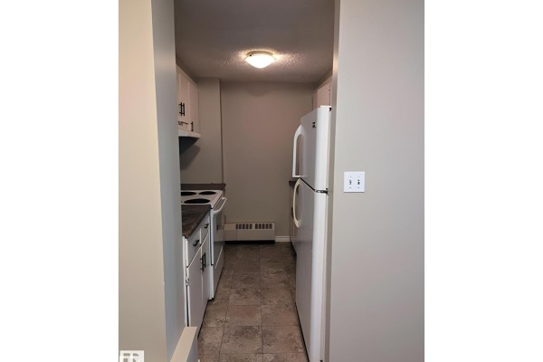 #611 12831 66 St Nw, Edmonton, AB T5C0A4 Photo 4