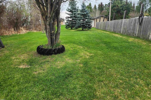 612 1 Av E, Rural Wetaskiwin County, AB T0C0T0 Photo 5