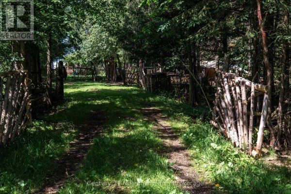 612608 Sideroad 61, Southgate, ON N0G2A0 Photo 3