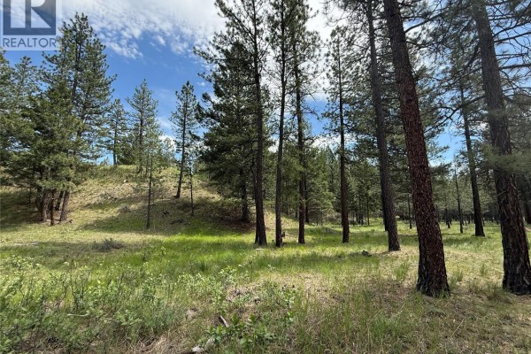 6145 Parnaby Road Unit# Lot 14 Lot# 14, Cranbrook, BC V1C0C2 Photo 2