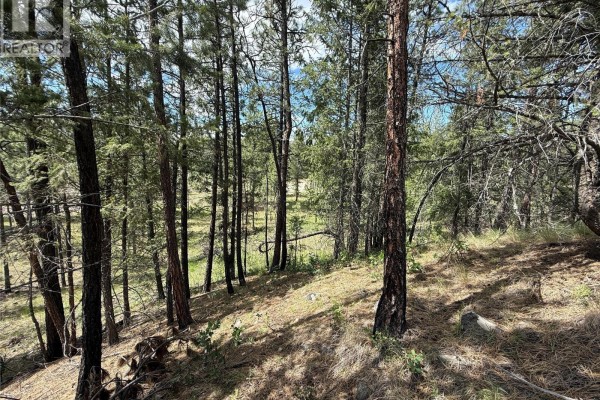 6145 Parnaby Road Unit# Lot 14 Lot# 14, Cranbrook, BC V1C0C2 Photo 5