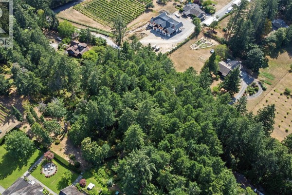 Aerial view showing the property lot surrounded by trees, with neighboring houses visible. - 6147 Old West Saanich Rd, Saanich