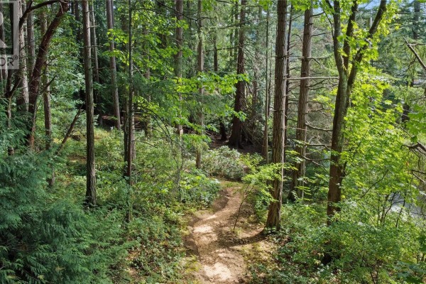 A narrow dirt path winds through a dense forest with tall trees and green undergrowth. - 6147 Old West Saanich Rd, Saanich