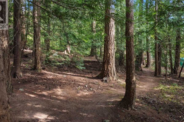 A dirt path meanders through a sun-dappled forest floor with mature trees. - 6147 Old West Saanich Rd, Saanich
