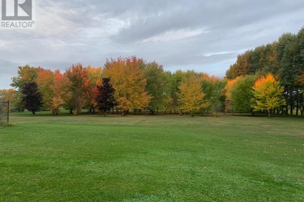 Expansive lawn with colorful fall trees - 6151 Malakoff Road Ottawa