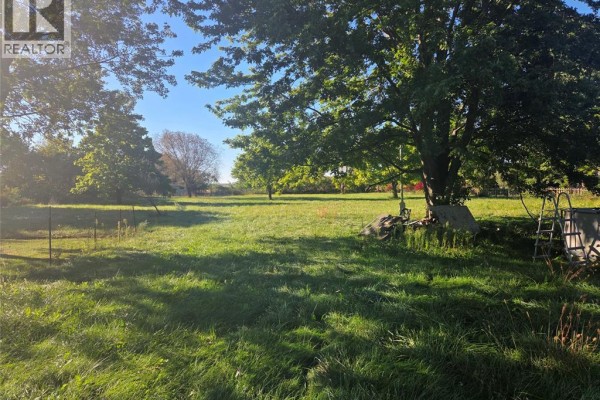 Grassy field with mature trees, fencing, and farm equipment under sunlight. - 618 Mersea Road 8, Leamington