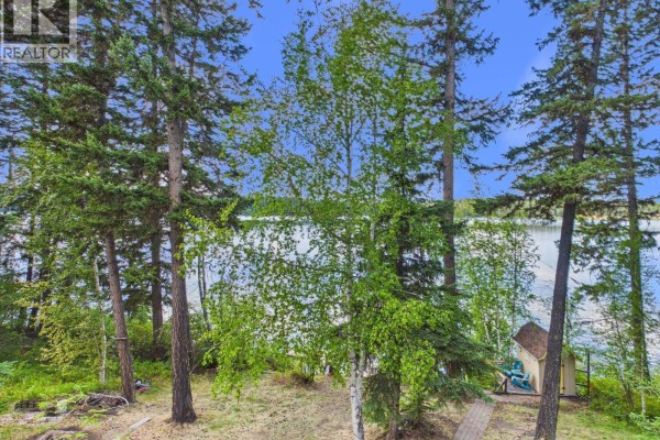 Bedroom 4 - 6187 Bremner Road, Williams Lake, BC V2G5L9 Photo 4