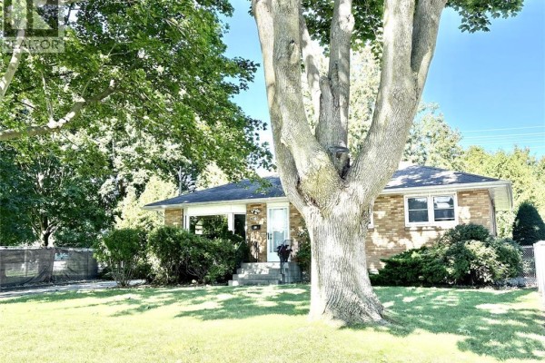 A large tree trunk in front of a beige brick bungalow with a green lawn. - 62 Burton Avenue, Chatham