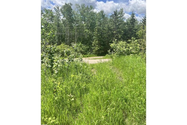 62 Coney Drive, Rural St  Paul County, AB, photo 2