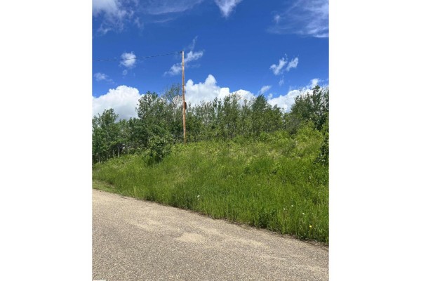 62 Coney Drive, Rural St  Paul County, AB, photo 3
