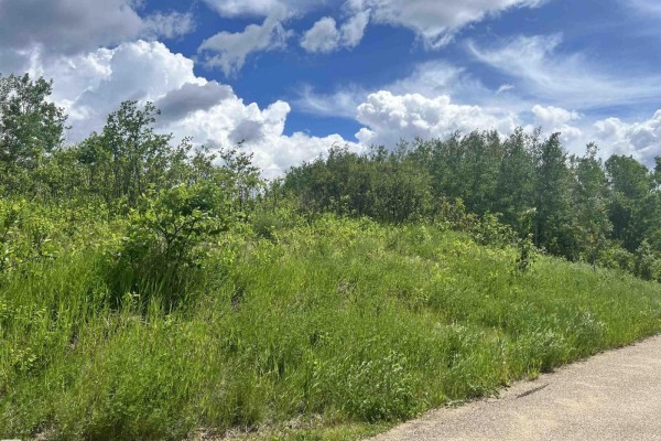 62 Coney Drive, Rural St  Paul County, AB T0A3A0 Photo 4