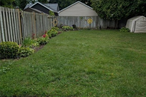 Backyard with lawn, garden, garage, and shed - 62 Ninth Avenue Brantford