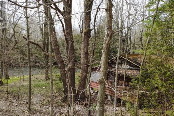 Trees and foliage partially obscure a small, weathered red cabin near a river. - 62 Roger's Crescent, South Bruce Peninsula