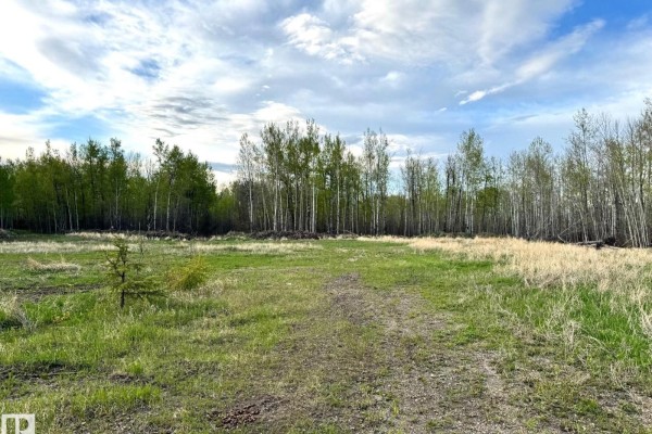6206 Hwy 16, Rural Parkland County, AB, photo 2