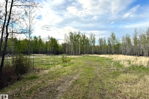 6206 Hwy 16, Rural Parkland County, AB, photo 3
