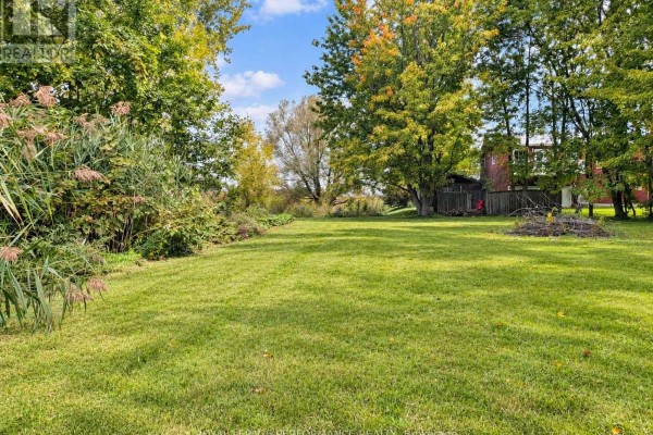 Expansive green lawn bordered by trees and vegetation, with a rustic wooden structure visible. - 6208 165e Avenue, South Glengarry