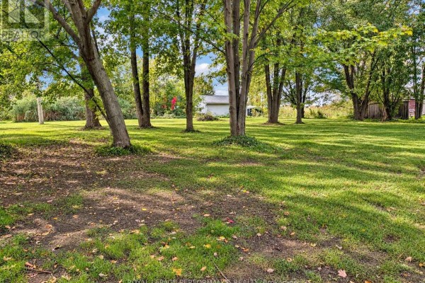 Park-like setting with scattered deciduous trees casting shadows on a manicured green lawn. - 6208 165e Avenue, South Glengarry