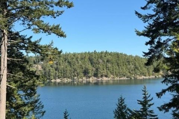 621 Bell Bay Rd, Mayne Island, BC V0N2J2 Photo 2