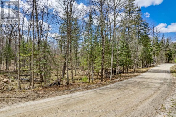 621 North Shore Rd Road, Lanark Highlands, ON K0G1M0 Photo 2