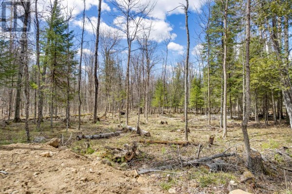621 North Shore Rd Road, Lanark Highlands, ON K0G1M0 Photo 3