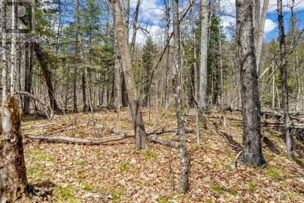 621 North Shore Rd Road, Lanark Highlands, ON K0G1M0 Photo 5