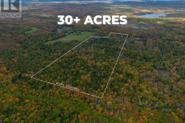 Aerial view showing the property boundaries of 30+ acres of wooded land in autumn. - 6220 Sissiboo Road, Bear River