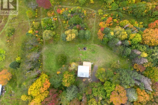 Top-down aerial view of the small house and surrounding clearing, nestled in trees. - 6220 Sissiboo Road, Bear River