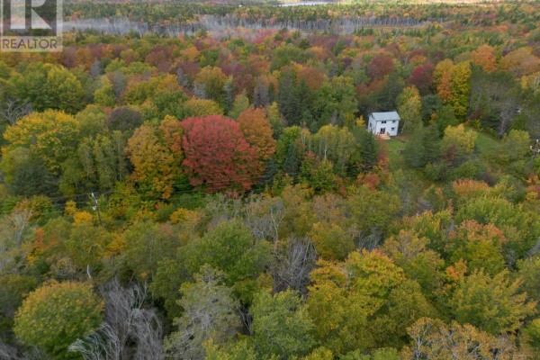 Aerial view of the house from a distance, surrounded by a dense forest in autumn colors. - 6220 Sissiboo Road, Bear River