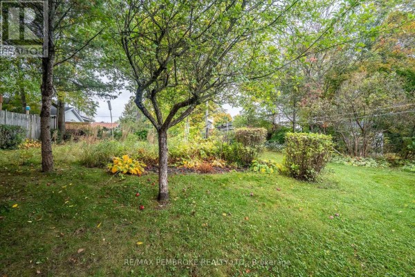 Backyard with a grassy lawn, mature trees, and overgrown garden beds with fall foliage. - 624 Hamilton Street W, Laurentian Valley