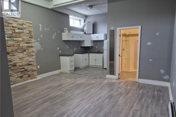 Open-concept space with gray walls, kitchenette, stone accent wall, and doorway to shower. - 624 King Street E Unit# 101, Cambridge