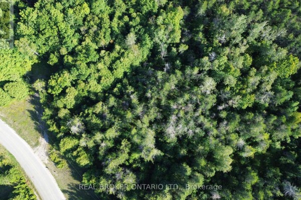 624 Snowdons Corners Road, Merrickville Wolford, ON K0G1N0 Photo 5