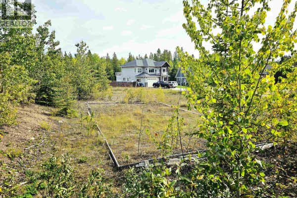 625 Casimir Avenue, Burns Lake, BC V0J1E0 Photo 3
