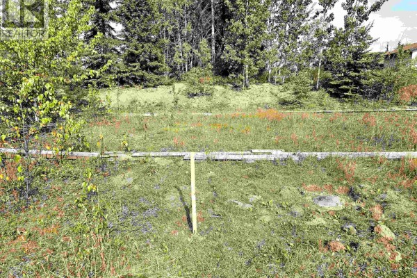 625 Casimir Avenue, Burns Lake, BC V0J1E0 Photo 5