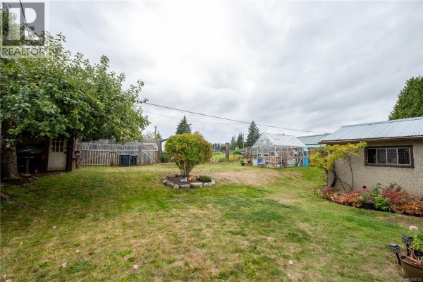 Backyard with a large green lawn, mature trees, a greenhouse, and a wooden shed. - 626 16th St, Courtenay